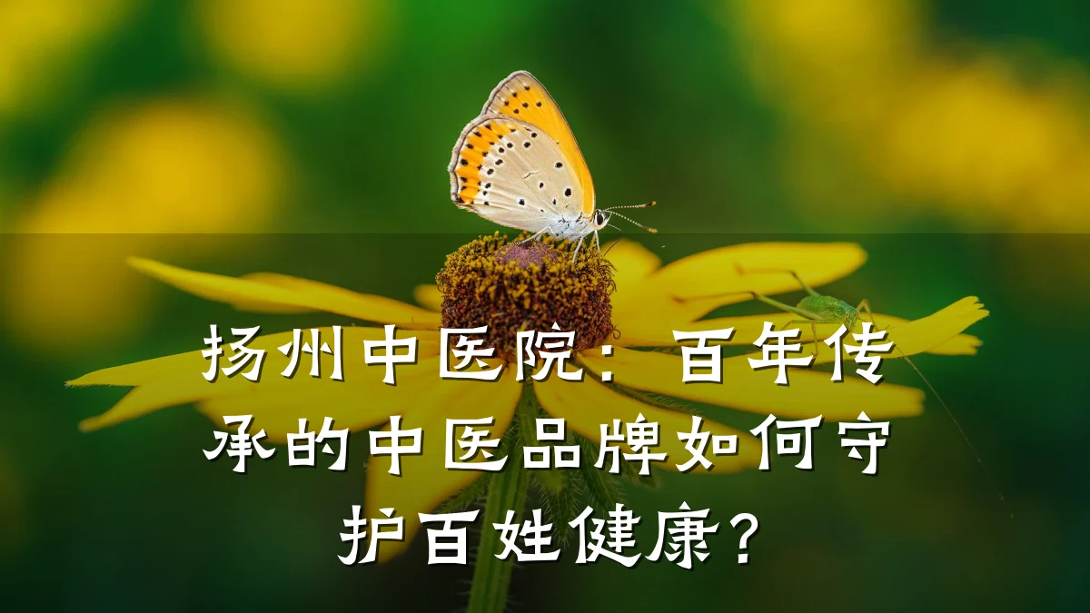 扬州中医院:百年传承的中医品牌如何守护百姓健康?
