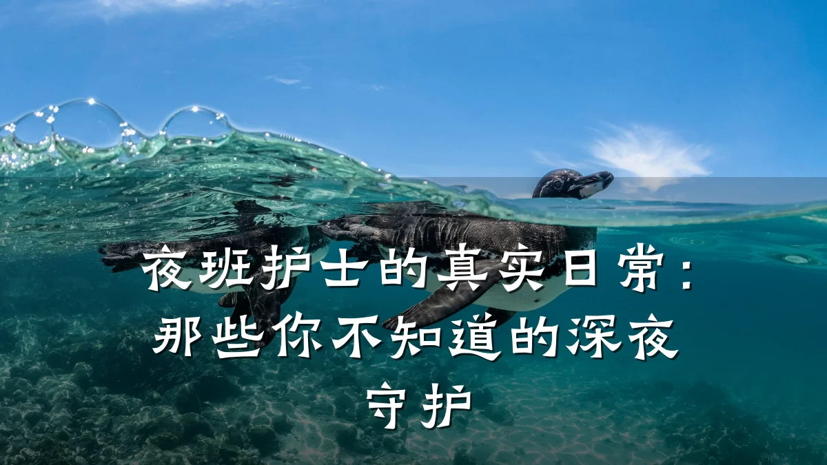 夜班护士的真实日常:那些你不知道的深夜守护