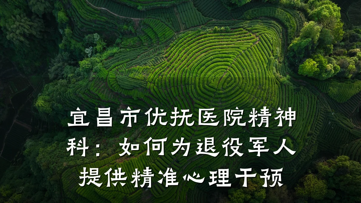 宜昌市优抚医院精神科:如何为退役军人提供精准心理干预