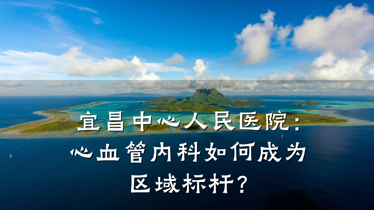 宜昌中心人民医院:心血管内科如何成为区域标杆?