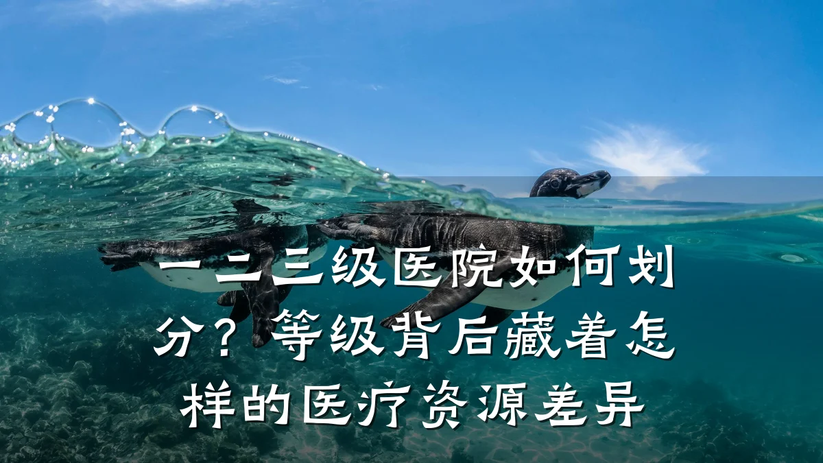 一二三级医院如何划分？等级背后藏着怎样的医疗资源差异