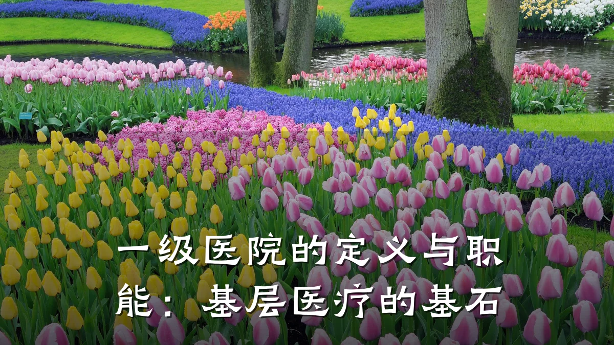 一级医院的定义与职能:基层医疗的基石