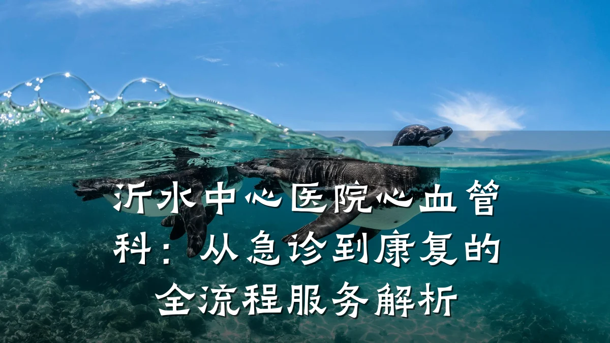 沂水中心医院心血管科:从急诊到康复的全流程服务解析