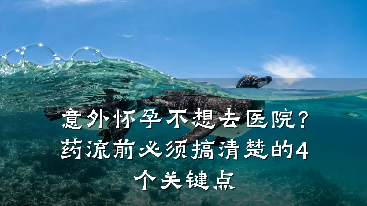 意外怀孕不想去医院?药流前必须搞清楚的4个关键点
