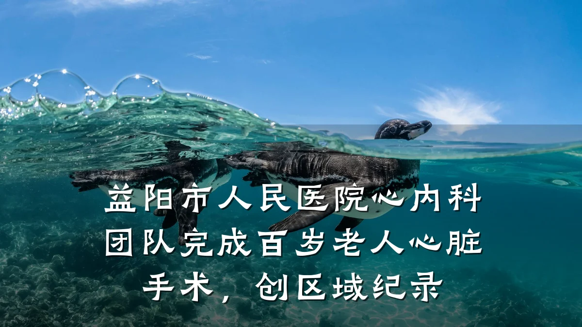 益阳市人民医院心内科团队完成百岁老人心脏手术，创区域纪录