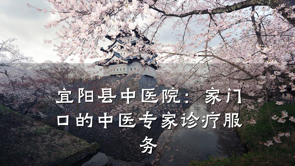 宜阳县中医院:家门口的中医专家诊疗服务