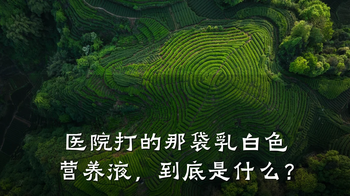 医院打的那袋乳白色营养液,到底是什么?