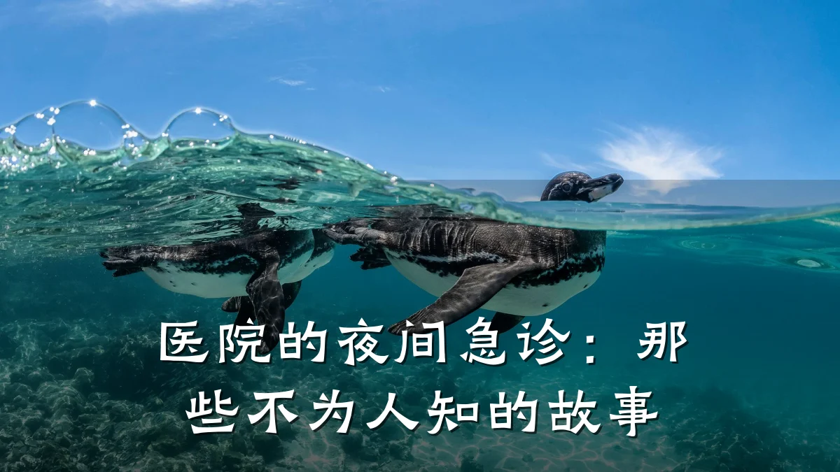 医院的夜间急诊:那些不为人知的故事