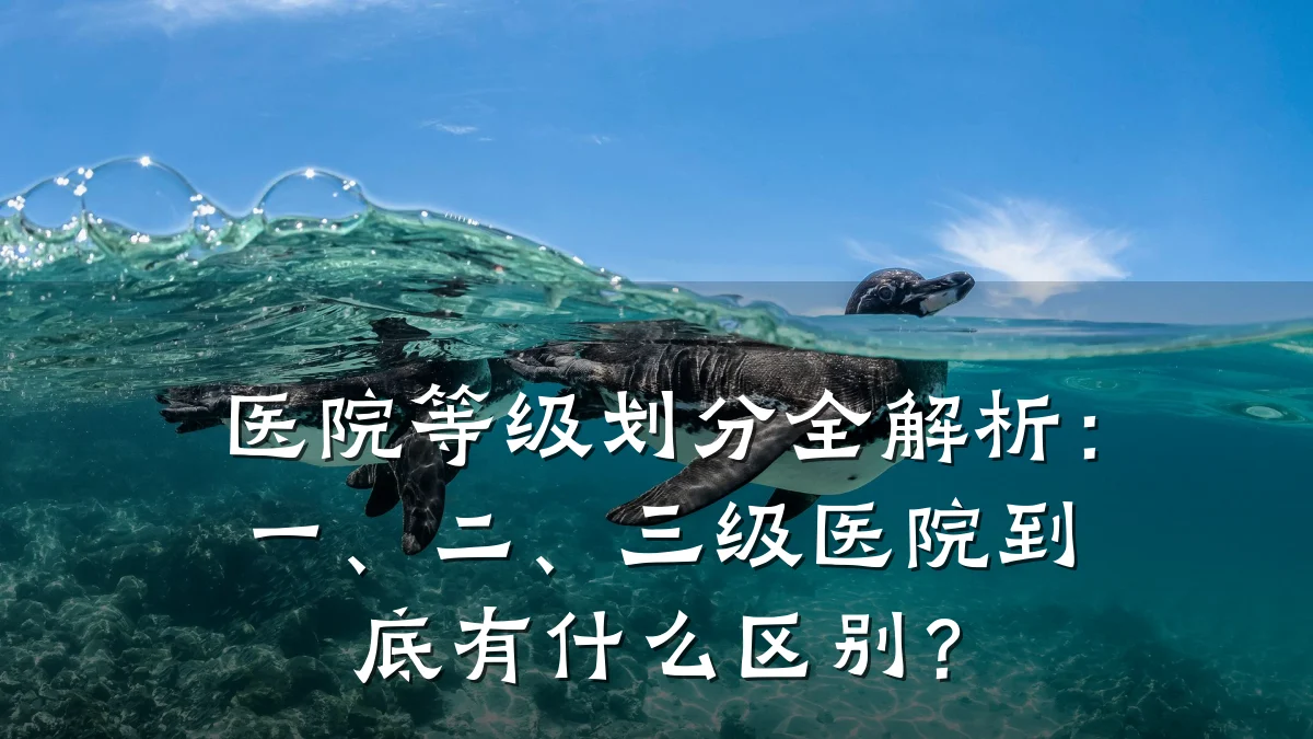 医院等级划分全解析:一、二、三级医院到底有什么区别?