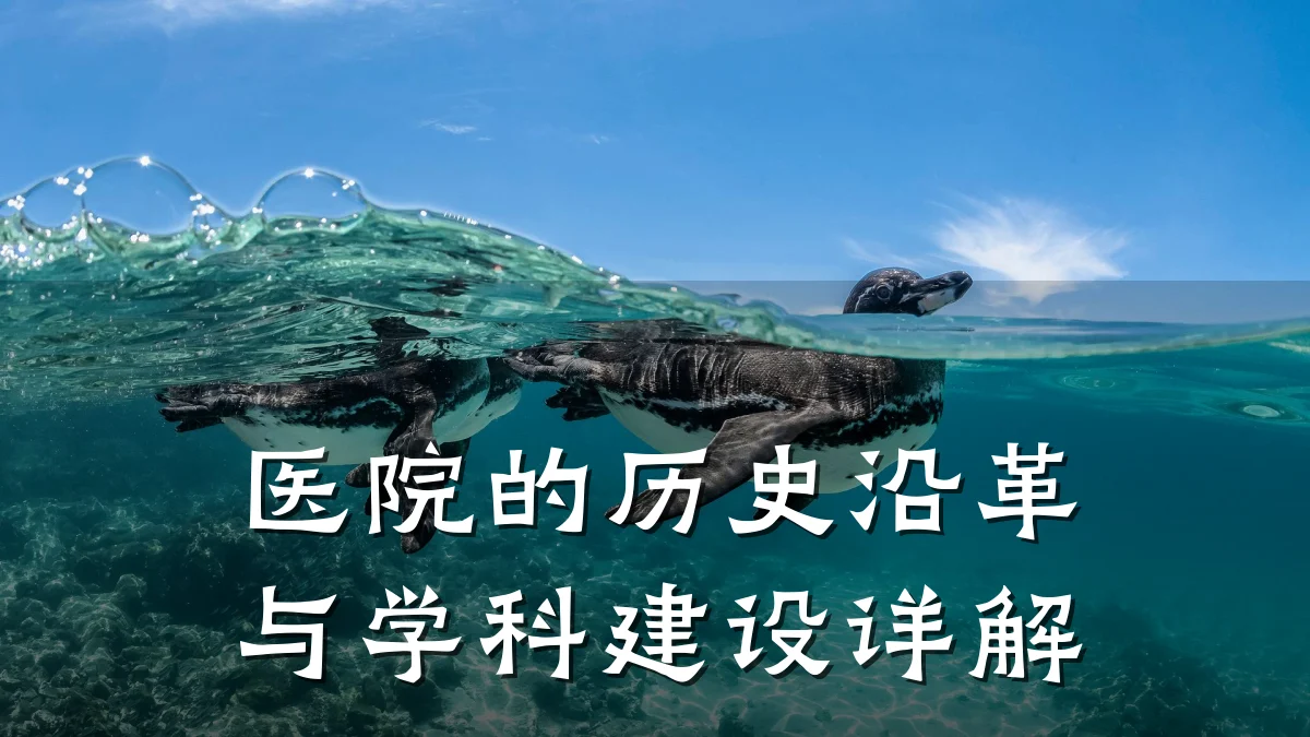 医院的历史沿革与学科建设详解