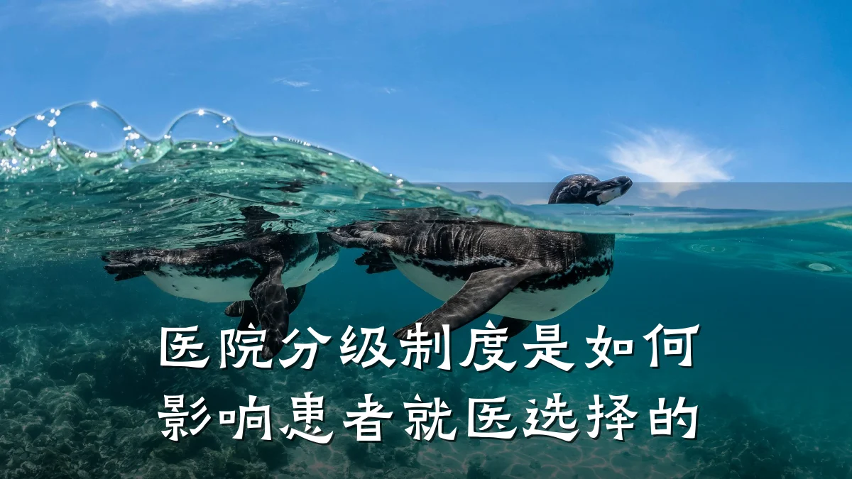 医院分级制度是如何影响患者就医选择的