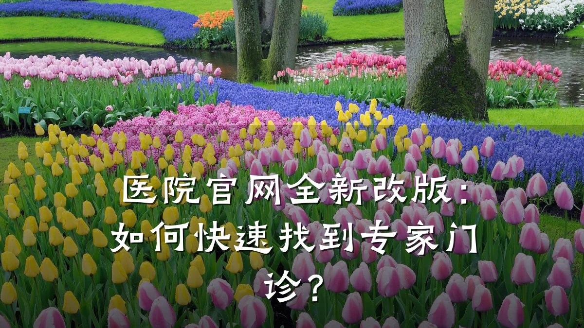 医院官网全新改版:如何快速找到专家门诊?