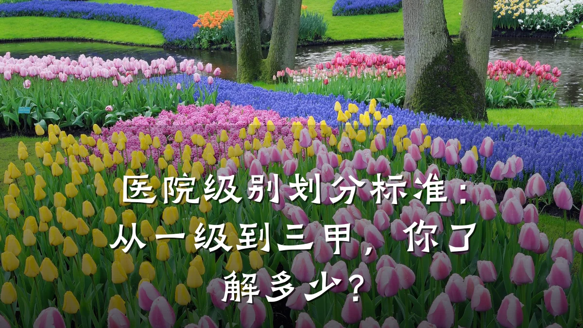 医院级别划分标准:从一级到三甲,你了解多少?