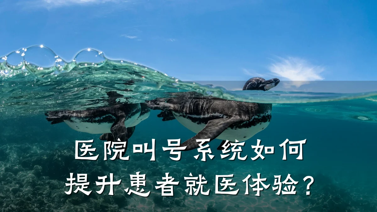 医院叫号系统如何提升患者就医体验?