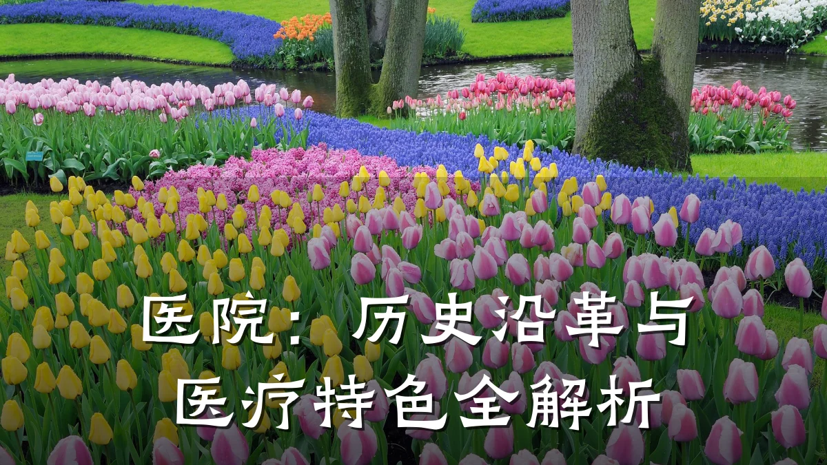医院:历史沿革与医疗特色全解析