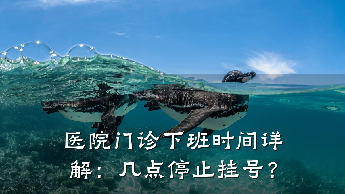 医院门诊下班时间详解:几点停止挂号?