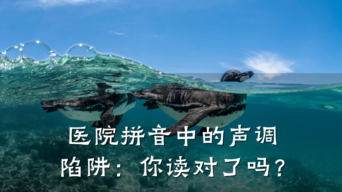 医院拼音中的声调陷阱:你读对了吗?