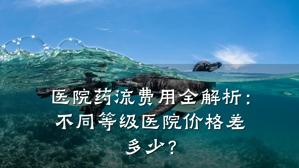 医院药流费用全解析:不同等级医院价格差多少?