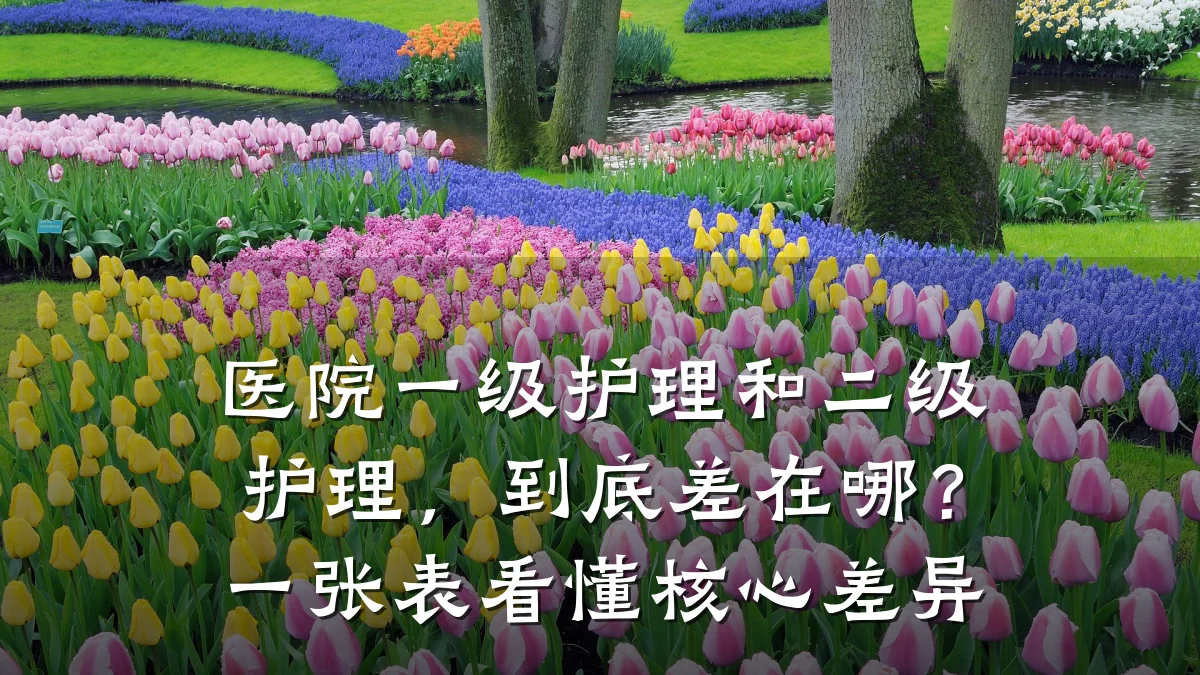 医院一级护理和二级护理，到底差在哪？一张表看懂核心差异