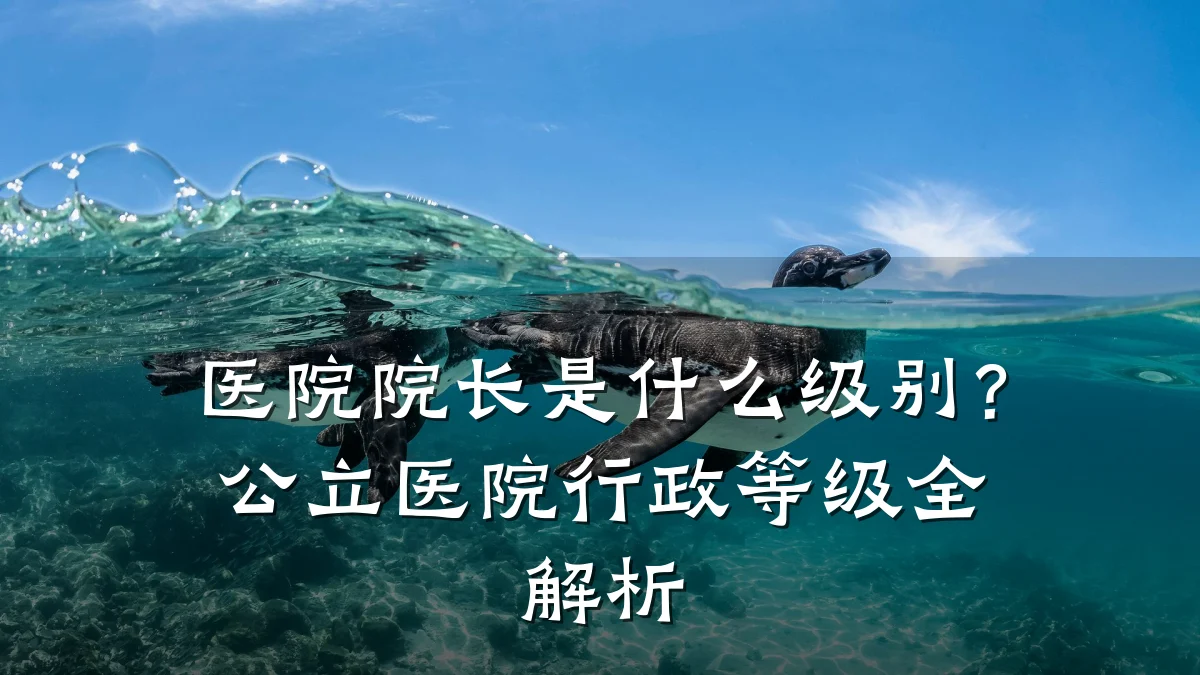医院院长是什么级别?公立医院行政等级全解析