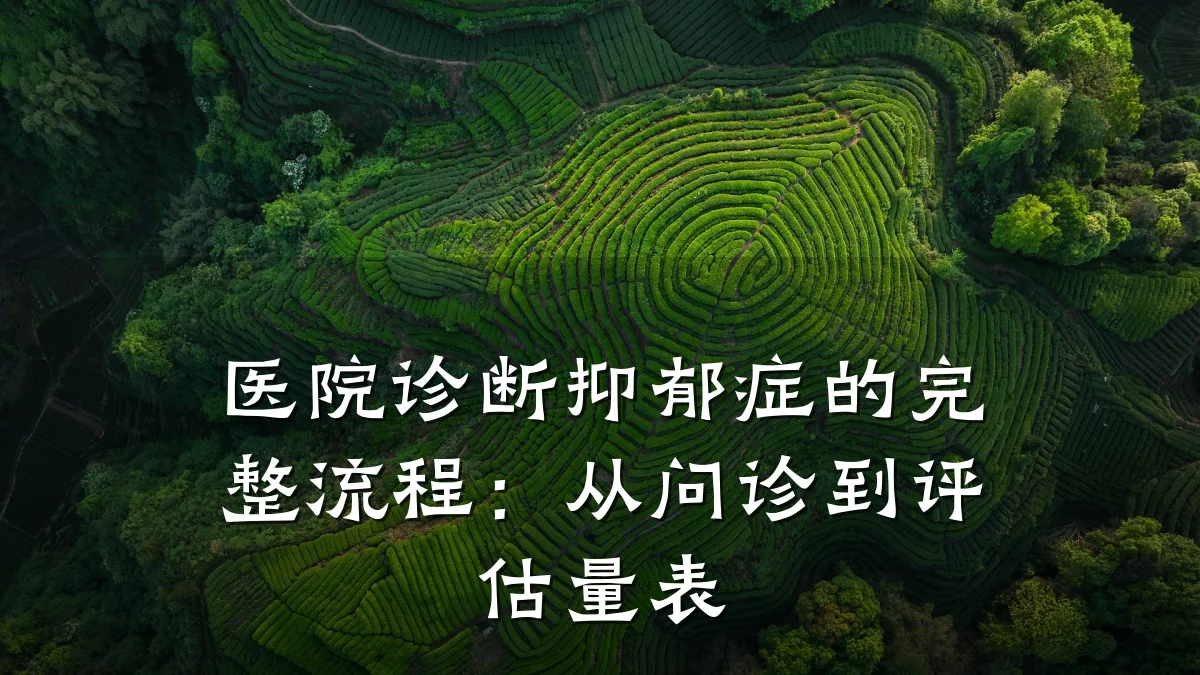 医院诊断抑郁症的完整流程:从问诊到评估量表