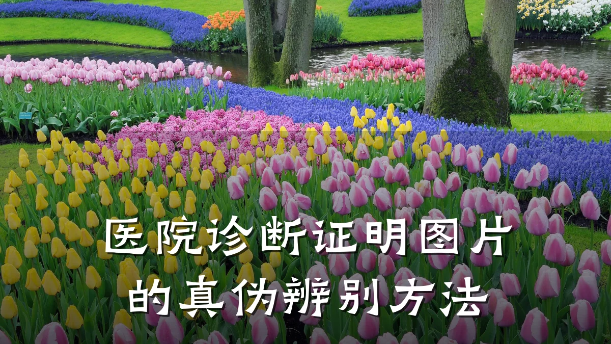 医院诊断证明图片的真伪辨别方法