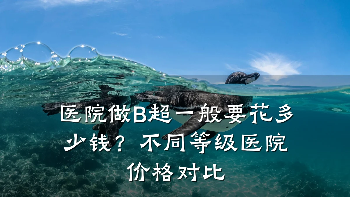 医院做B超一般要花多少钱?不同等级医院价格对比