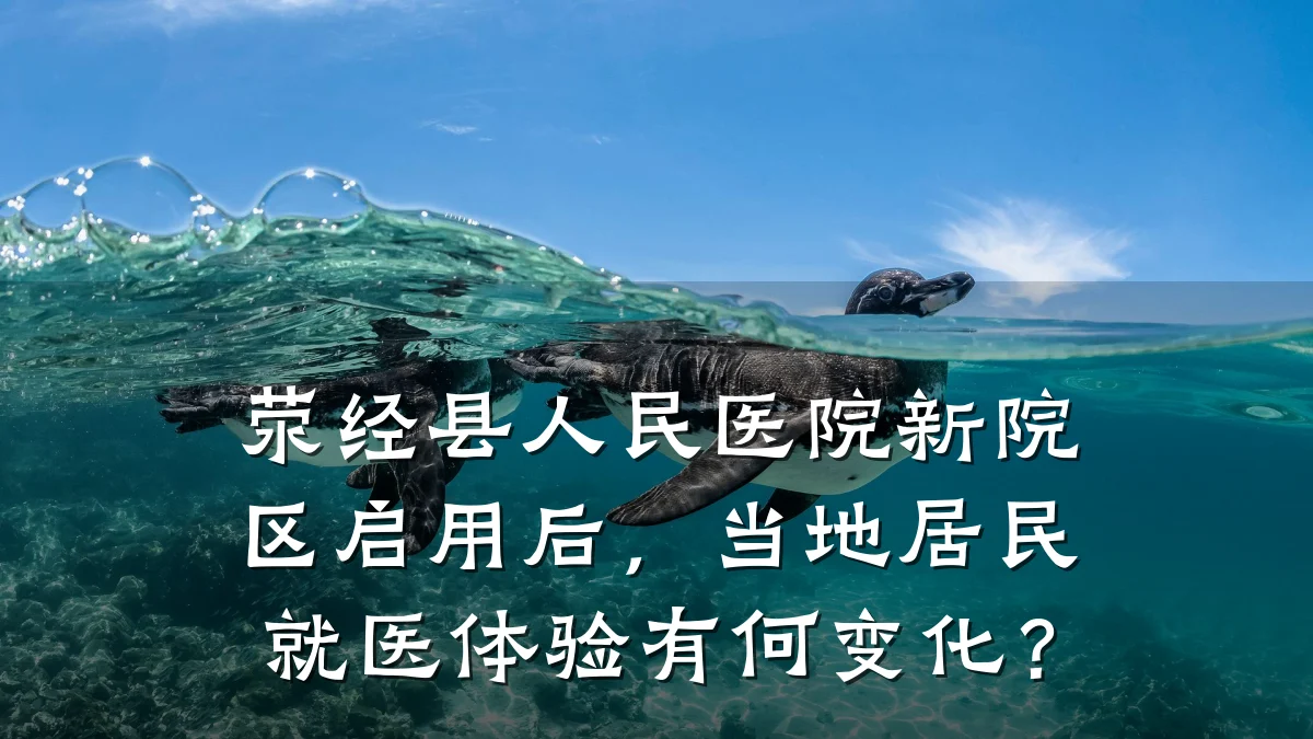 荥经县人民医院新院区启用后,当地居民就医体验有何变化?