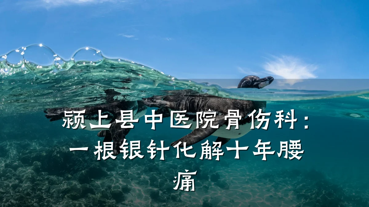 颍上县中医院骨伤科：一根银针化解十年腰痛