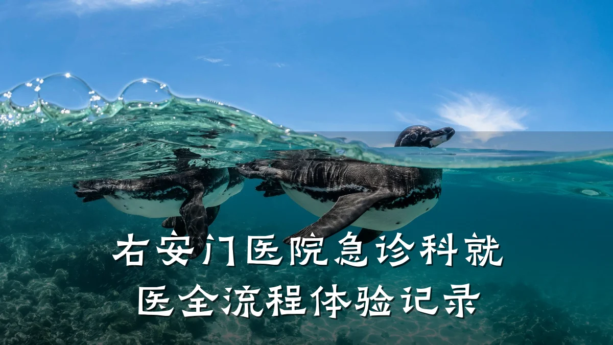 右安门医院急诊科就医全流程体验记录