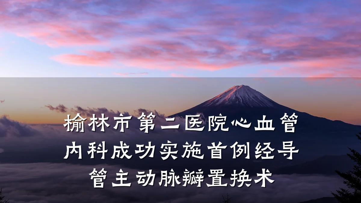 榆林市第二医院心血管内科成功实施首例经导管主动脉瓣置换术