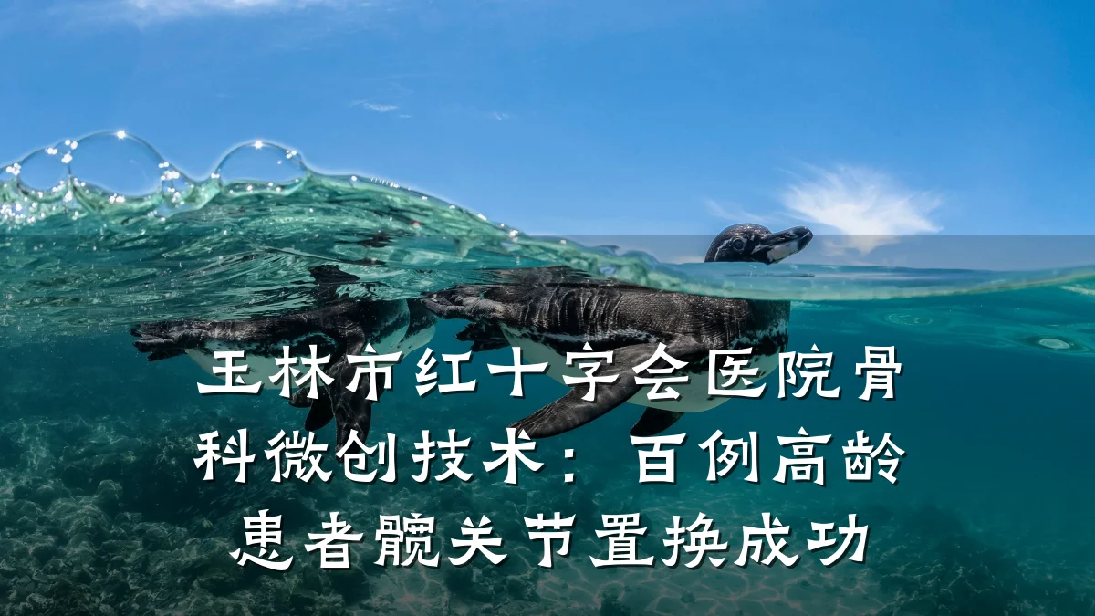 玉林市红十字会医院骨科微创技术:百例高龄患者髋关节置换成功