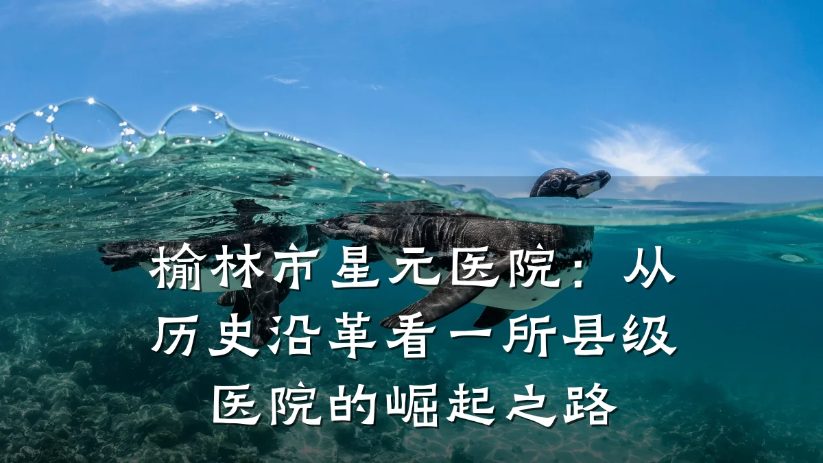 榆林市星元医院:从历史沿革看一所县级医院的崛起之路