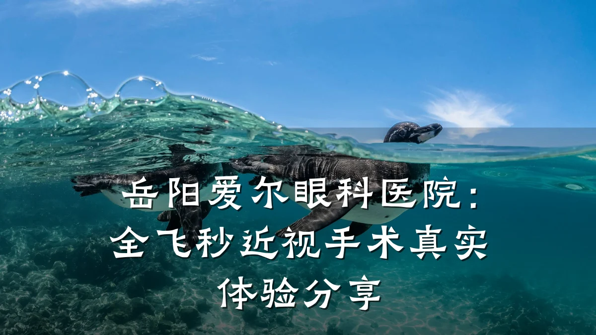 岳阳爱尔眼科医院:全飞秒近视手术真实体验分享