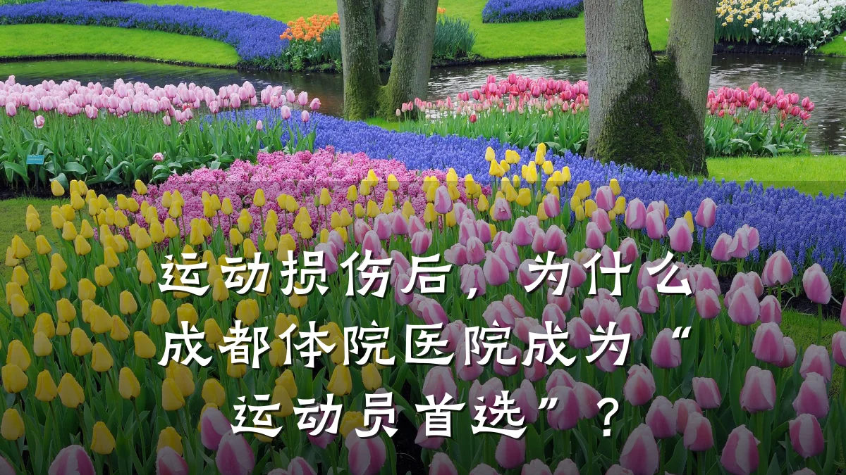 运动损伤后,为什么成都体院医院成为“运动员首选”?