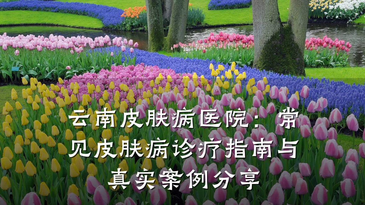 云南皮肤病医院：常见皮肤病诊疗指南与真实案例分享