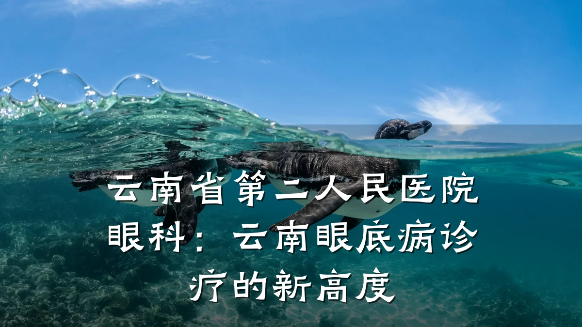 云南省第二人民医院眼科:云南眼底病诊疗的新高度
