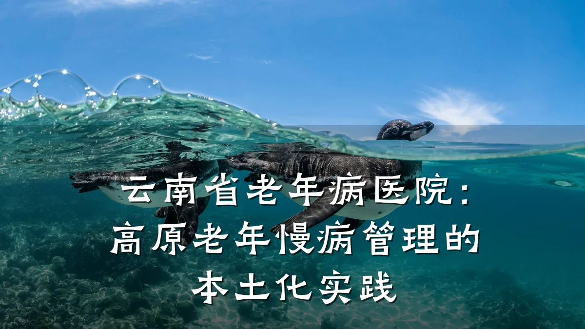 云南省老年病医院：高原老年慢病管理的本土化实践