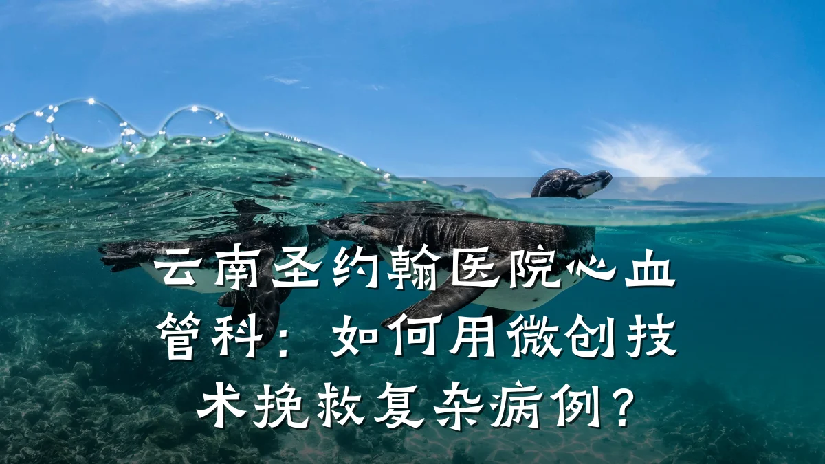 云南圣约翰医院心血管科:如何用微创技术挽救复杂病例?