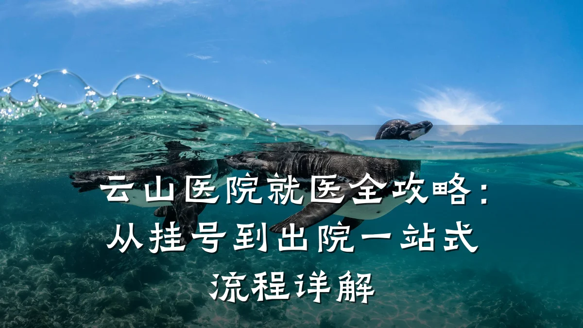 云山医院就医全攻略:从挂号到出院一站式流程详解