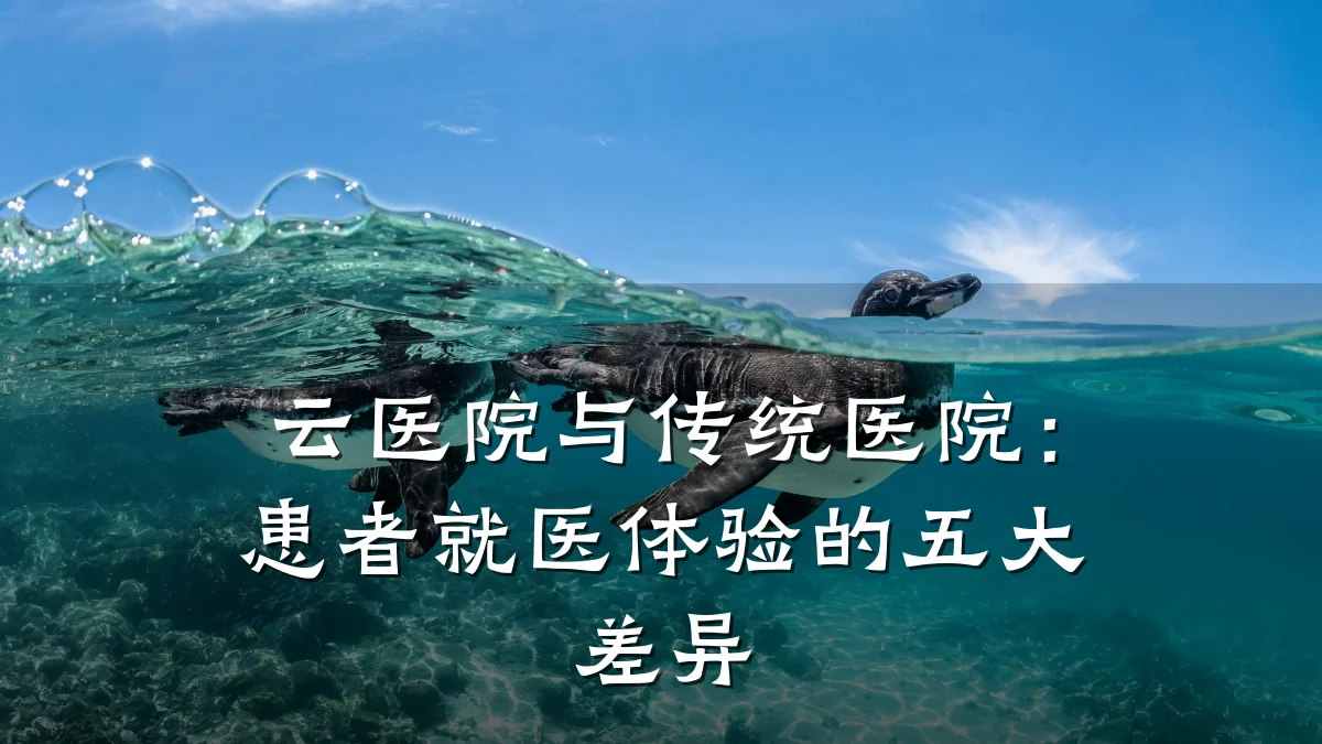 云医院与传统医院:患者就医体验的五大差异