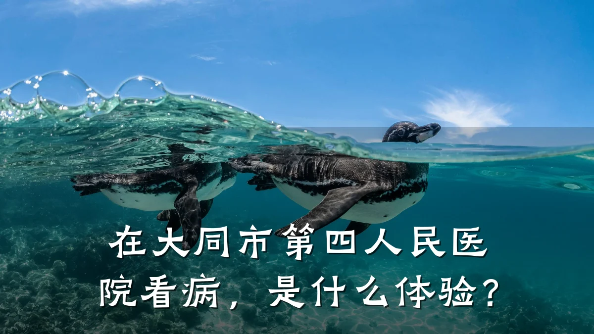 在大同市第四人民医院看病,是什么体验?