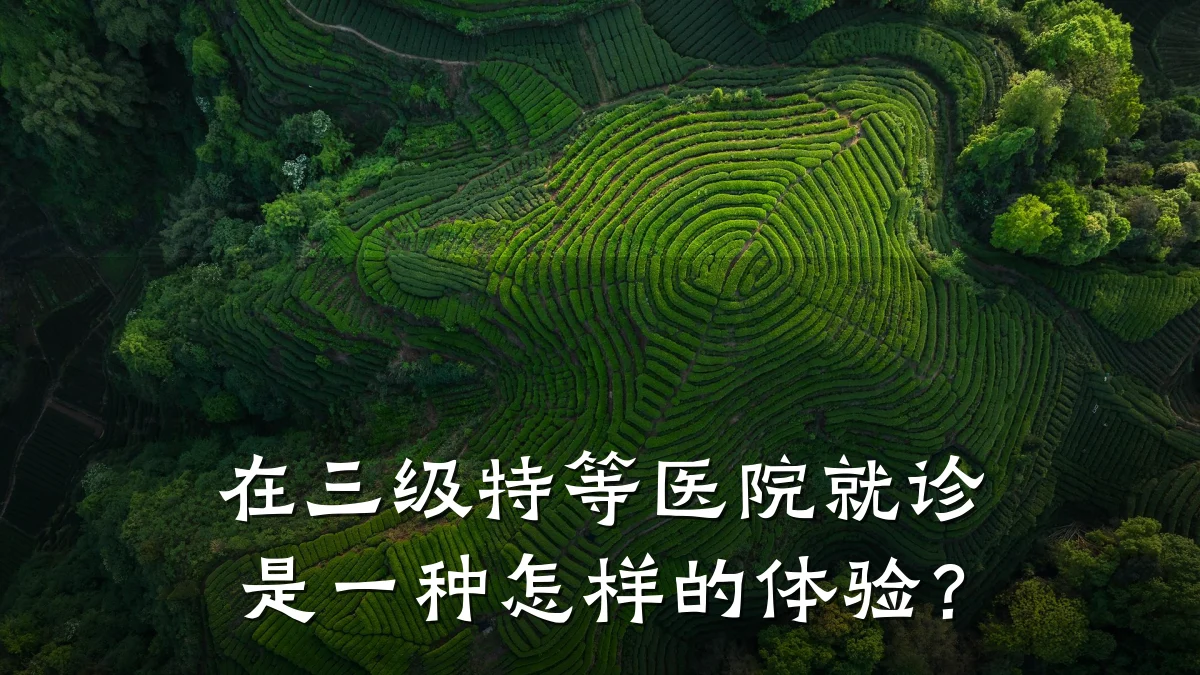 在三级特等医院就诊是一种怎样的体验?