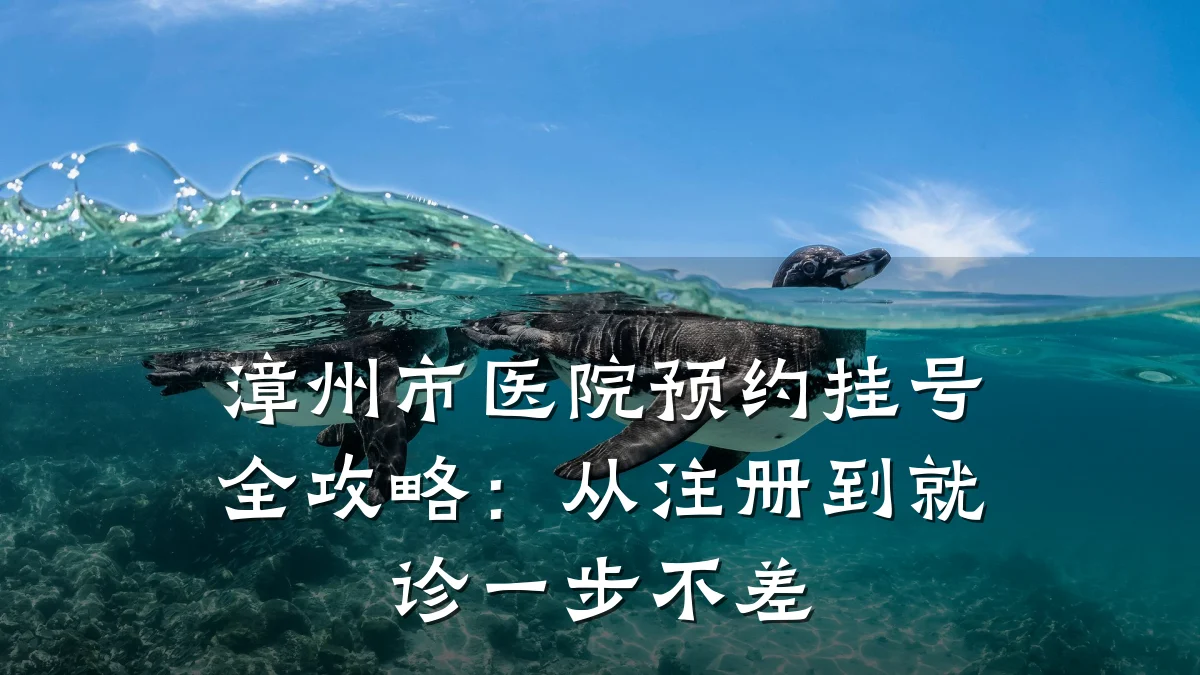 漳州市医院预约挂号全攻略:从注册到就诊一步不差