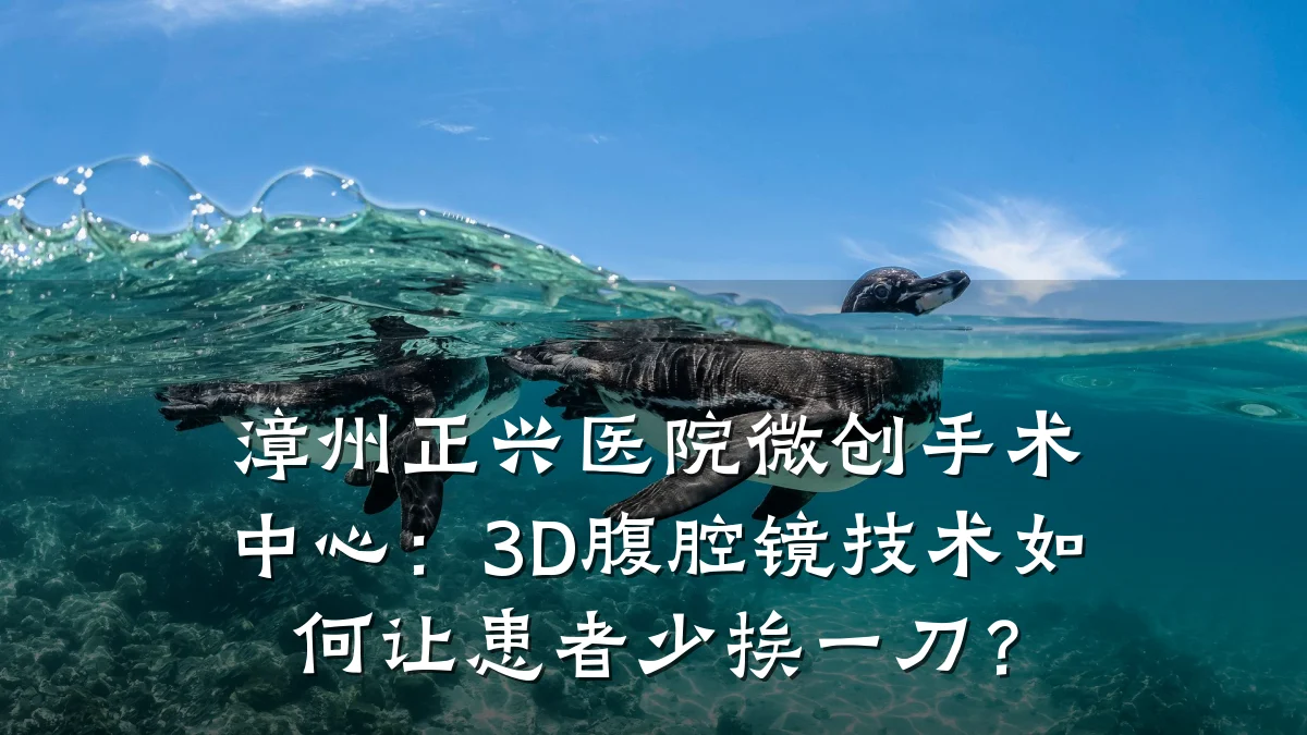 漳州正兴医院微创手术中心：3D腹腔镜技术如何让患者少挨一刀？