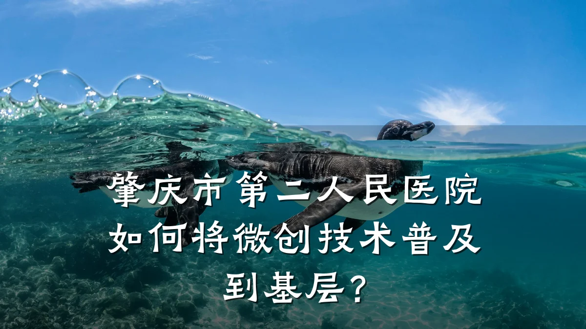肇庆市第二人民医院如何将微创技术普及到基层？