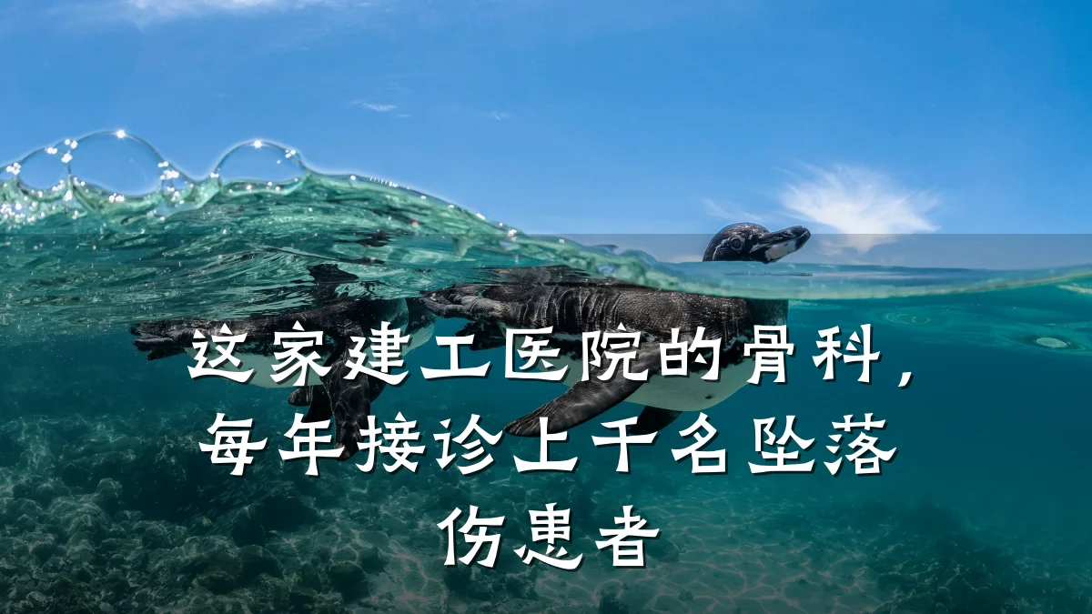 这家建工医院的骨科，每年接诊上千名坠落伤患者