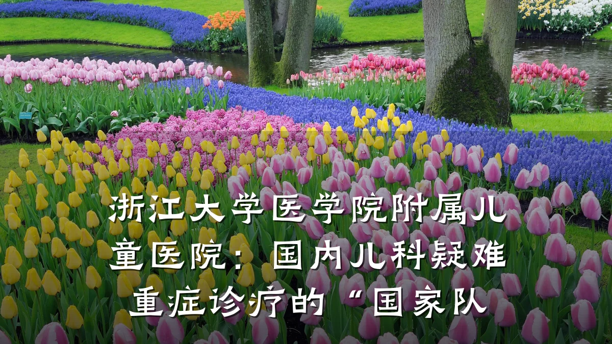 浙江大学医学院附属儿童医院:国内儿科疑难重症诊疗的“国家队