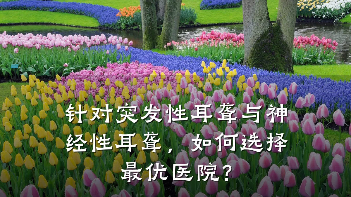 针对突发性耳聋与神经性耳聋，如何选择最优医院？