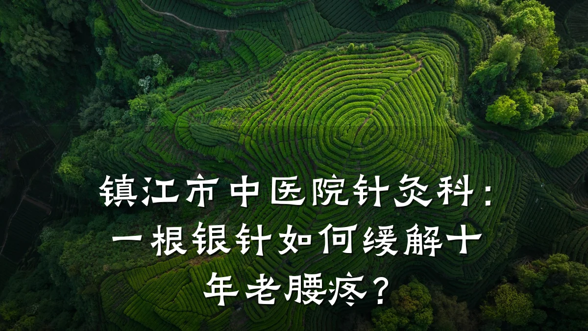 镇江市中医院针灸科：一根银针如何缓解十年老腰疼？
